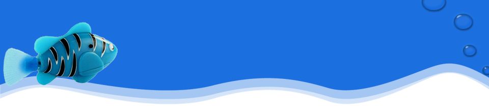 RoboFish (РобоРыбка) робофиш RoboFish (РобоРыбка) робофиш